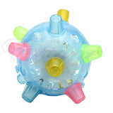 Jumping Activation Ball for Dogs