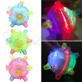 Jumping Activation Ball for Dogs