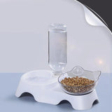 Cat Smart Bowl
