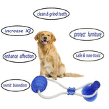 Suction Cup Dog Toy