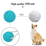 Suction Cup Dog Toy